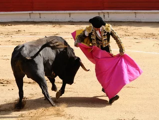 Poster Stierenvechten Matador &amp  Bull