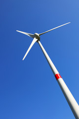 ecological development