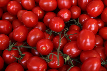 Food Serie,Cerrytomaten