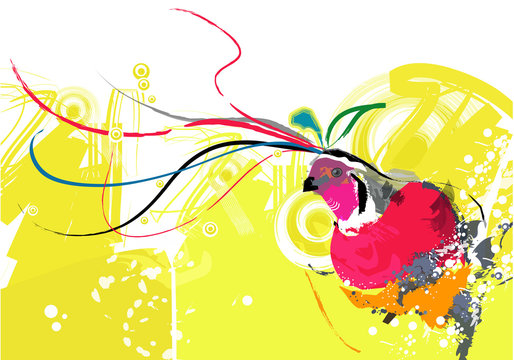 uccello colorato
