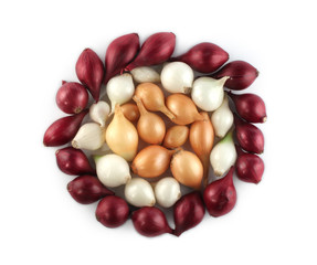 Onions circle compositionm many colors
