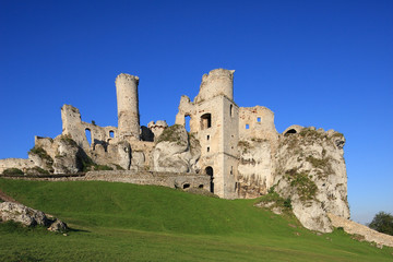 Zamek w Ogrodzieńcu - ruiny - obrazy, fototapety, plakaty
