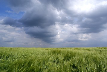 Obraz premium Sturmwolken