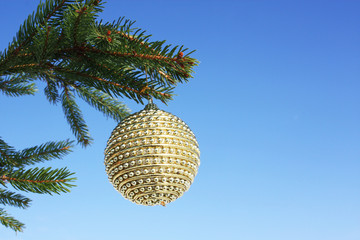 Weihnachtsbaum