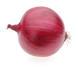 one red onion bulb isolated on white