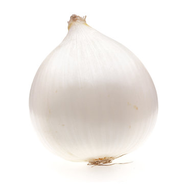 one white onion bulb isolated on white