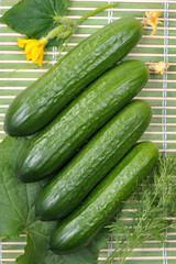 Cucumbers