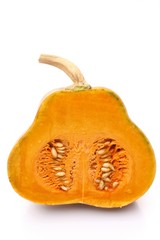 Pumpkin / 南瓜