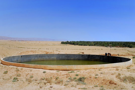 Réservoir d'eau dans le sdéser Tunisien