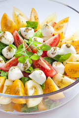 tomato salad with mozzarella cheese