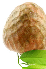 fruit tropical coeur boeuf, Annona reticulata