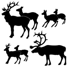 silhouette of the deers on white background