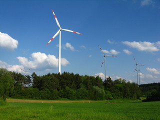 Fototapeta premium Windräder