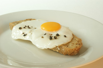 one organic fried egg on wheaten bread