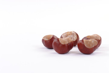 pięć brązowych kasztan&oacute;w