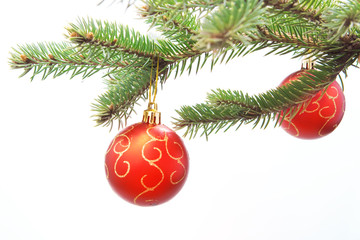 Christmas balls on fir branch