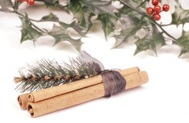 cinnamon stick - christmas time