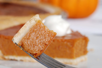 bite of pumpkin pie