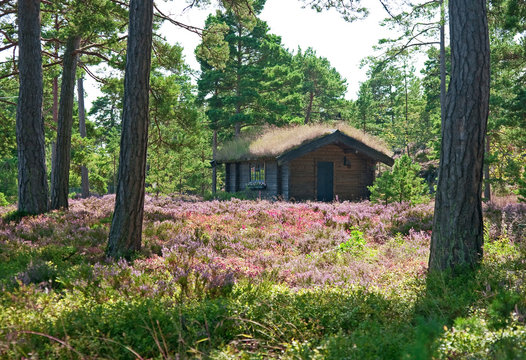 Wooden cabin on a wildflower meadow