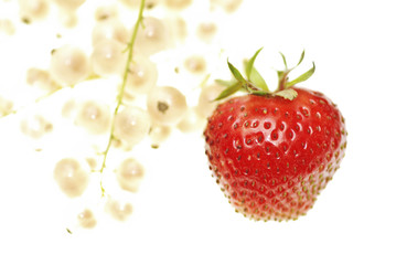 Strawberry and white currant on white.