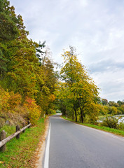 Autumn road