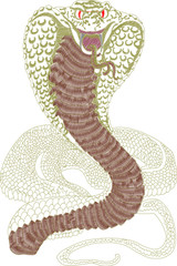 Fototapeta premium snake