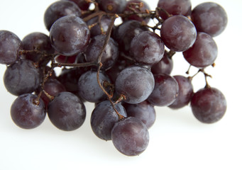 Black Grape