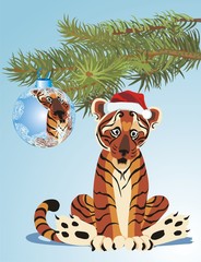 Naklejka premium tiger