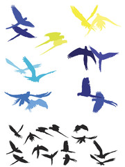 aras flying parallel and synchronized to each other silhouettes