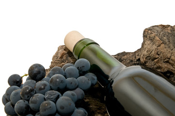 Vino 14