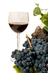 Vino 18