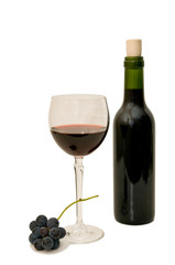 Vino 20