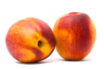 Two juicy nectarines