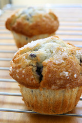 Blueberry Muffins