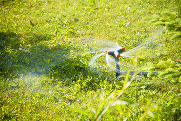 crane on the lawn watering
