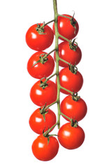 cluster of tomatoes on a white background