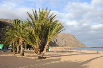 Afwasbaar fotobehang Playa de Las Teresitas, Canary Island Tenerife, Spain © philipus