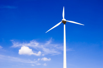 Fototapeta premium Windpark 17