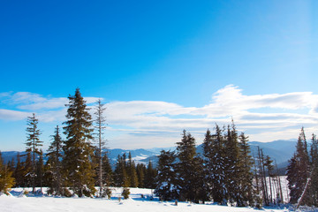 Carpathian winter mountains