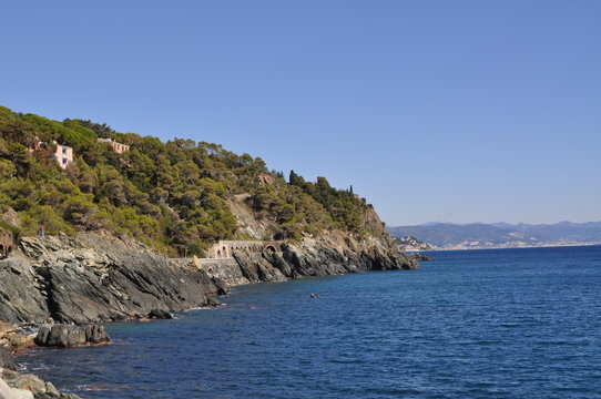varazze