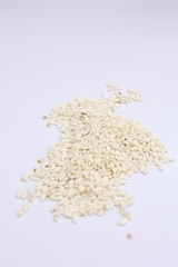 Glutinous rice / 糯稻