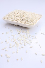 Glutinous rice / 糯稻