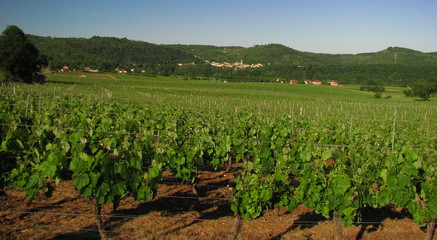 Fototapeta na wymiar Dolina dużo; Perigord, Quercy, Midi-Pyrénées