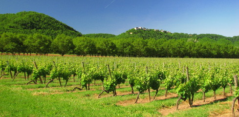 Fototapeta na wymiar Lot Valley, Perigord, Quercy, Midi-Pyrenees