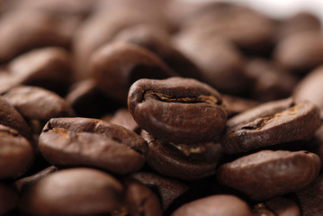 coffee bean
