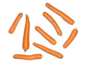 Multiple carrots