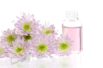 Obraz na płótnie Canvas Spa bottles and daisies isolated on white