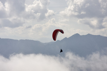 paraglider