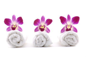 Row of orchid on rolled up towel