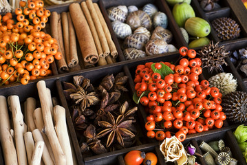 herbstliches im Setzkasten